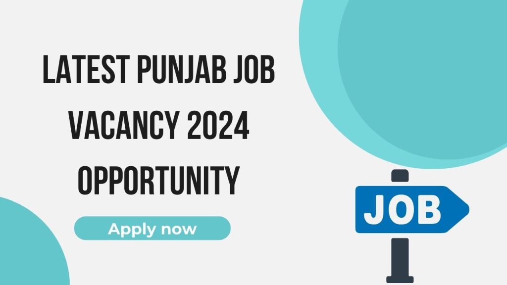 Punjab Job Vacancy